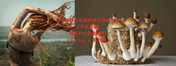 ГАЛЛЮЦИНОГЕННЫЕ ГРИБЫ Абинск