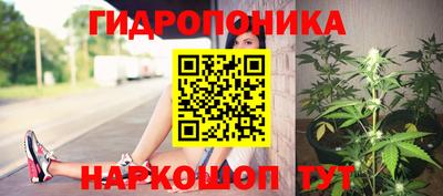 ГАЛЛЮЦИНОГЕННЫЕ ГРИБЫ Азнакаево