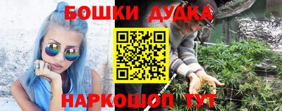 стаф Абакан