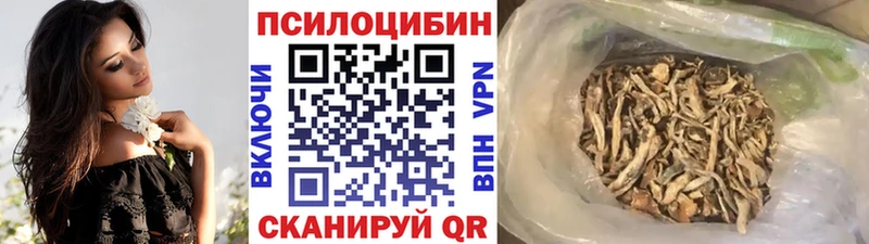 гидра как зайти  купить   Александров  Галлюциногенные грибы ЛСД 