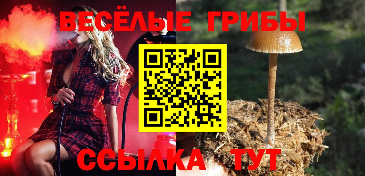 Галлюциногенные грибы мицелий  Александров 