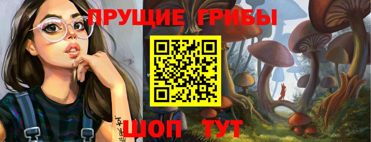Александров  Псилоцибиновые грибы мицелий  Галлюциногенные грибы MAGIC MUSHROOMS  Вход с VPN 