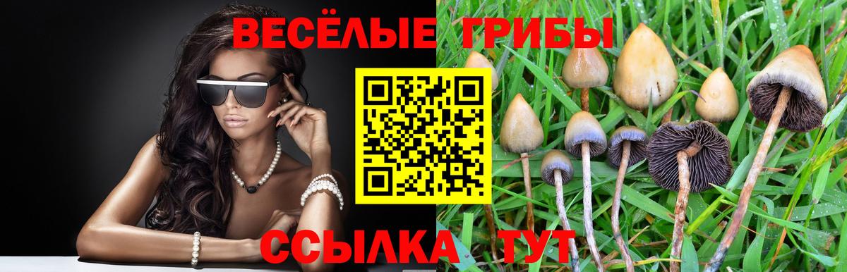 Галлюциногенные грибы прущие грибы Александров